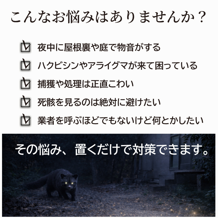 hakubisin_s750_2.jpg