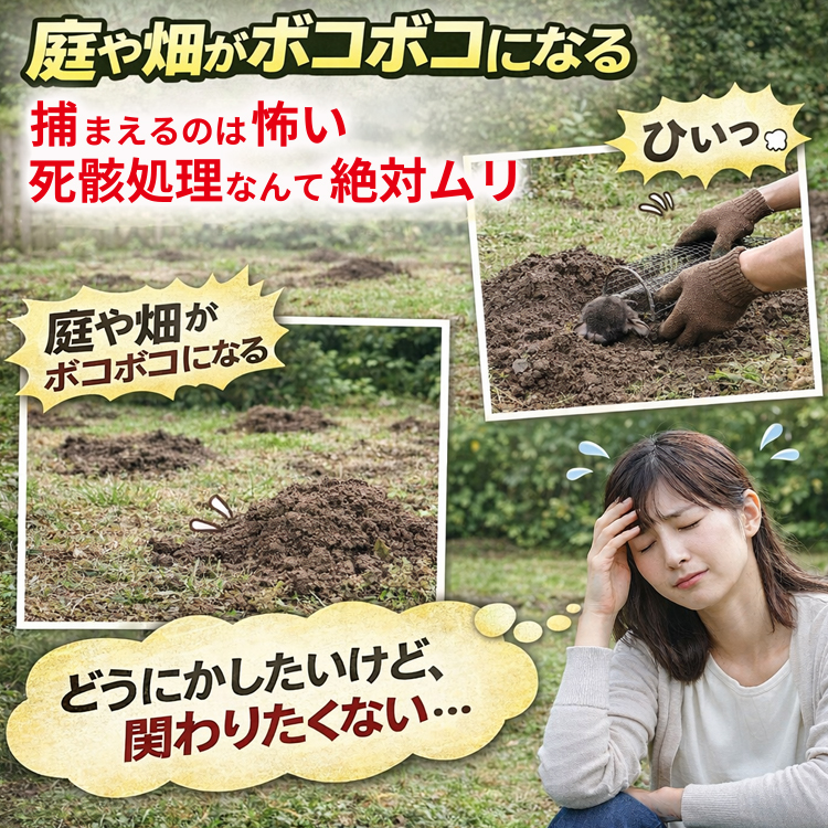 mogura_750_2.jpg