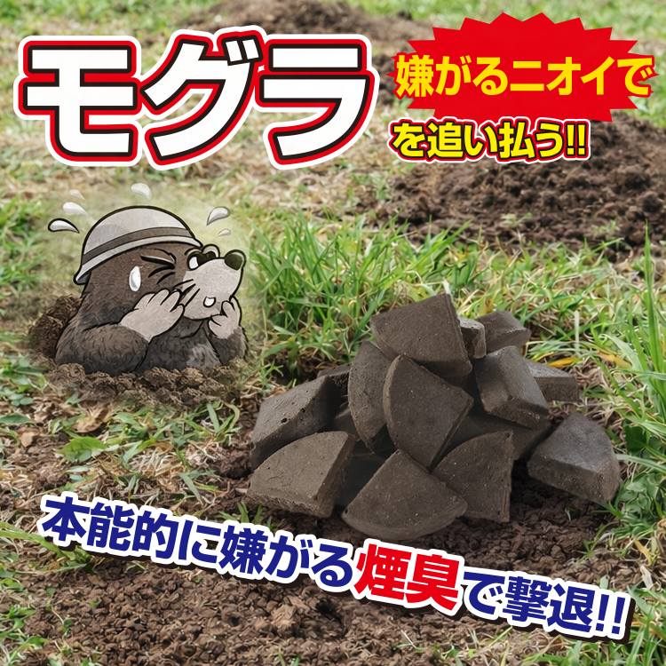 mogura_750_4.jpg