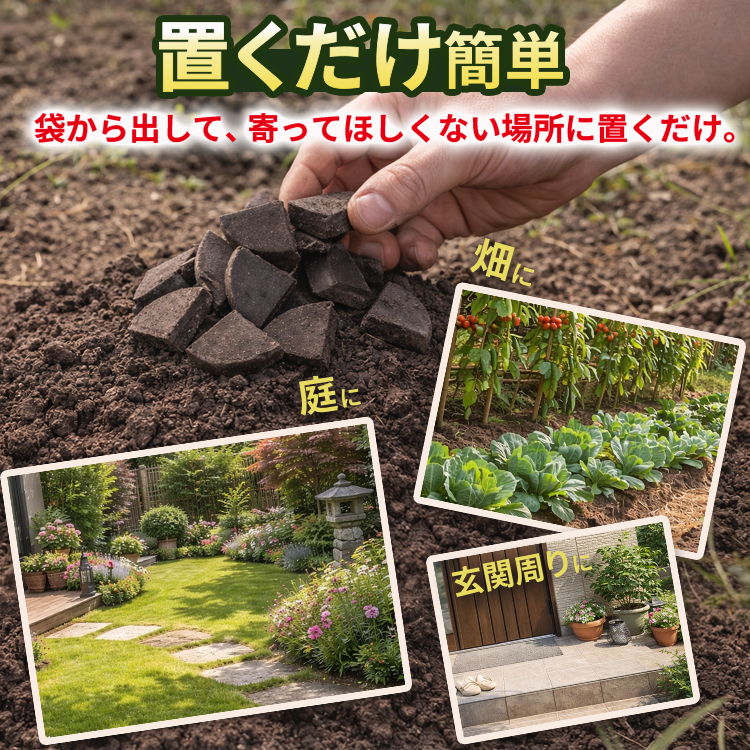 mogura_750_5.jpg