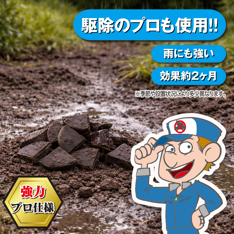 mogura_750_6.jpg
