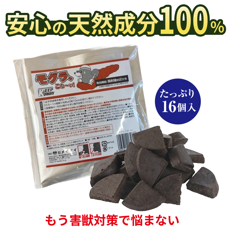 mogura_750_7.jpg