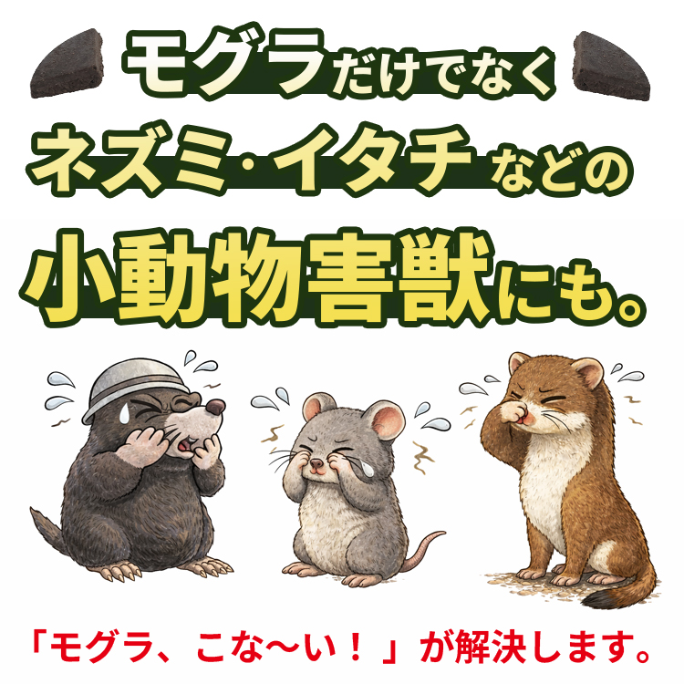mogura_750_8.jpg
