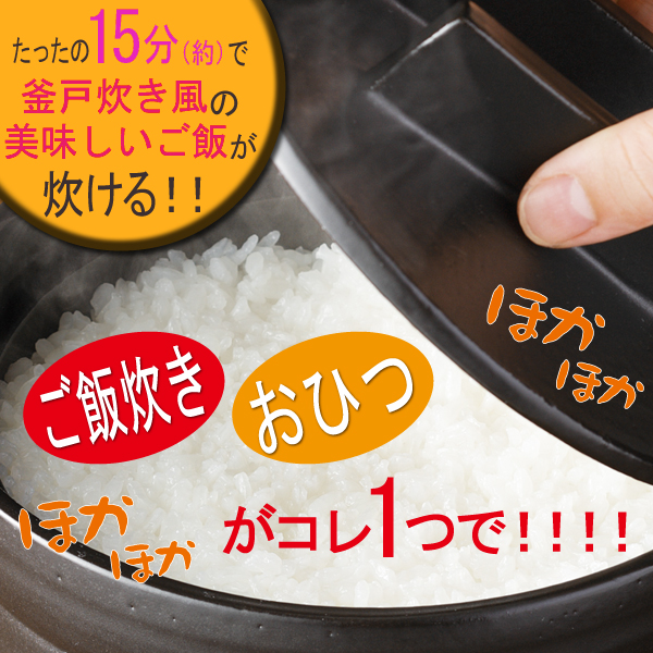電子レンジ 炊飯 おひつ 炊飯鍋 電子レンジ対応 2合 ごはん鍋 有田焼