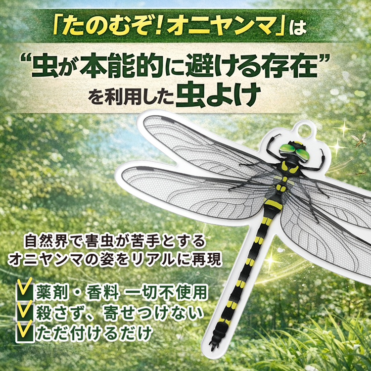 oniyanma_750_3.jpg