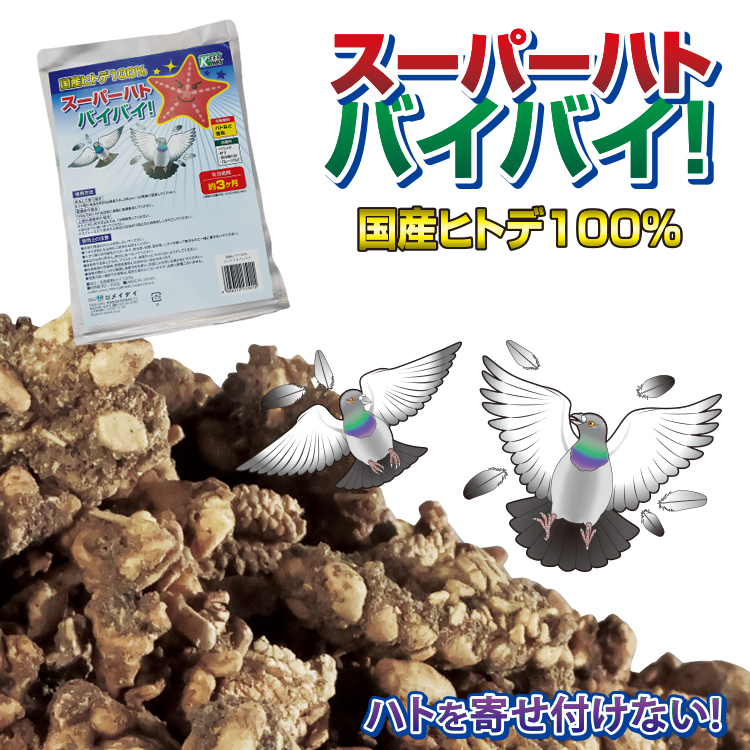 s_hato750.jpg