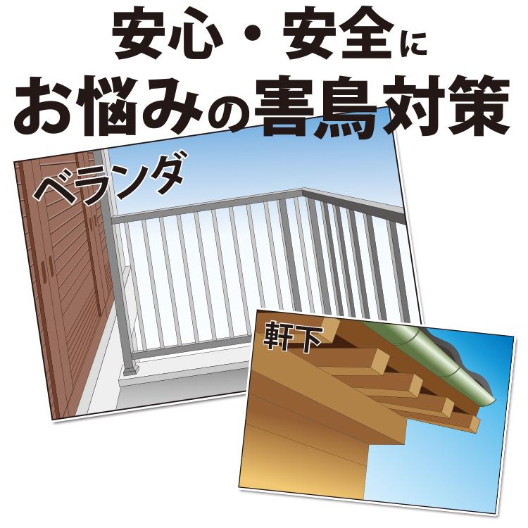 s_hato750_1.jpg