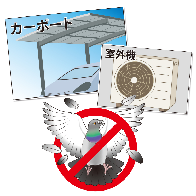 s_hato750_2.jpg