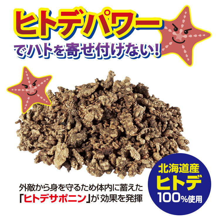 s_hato750_3.jpg