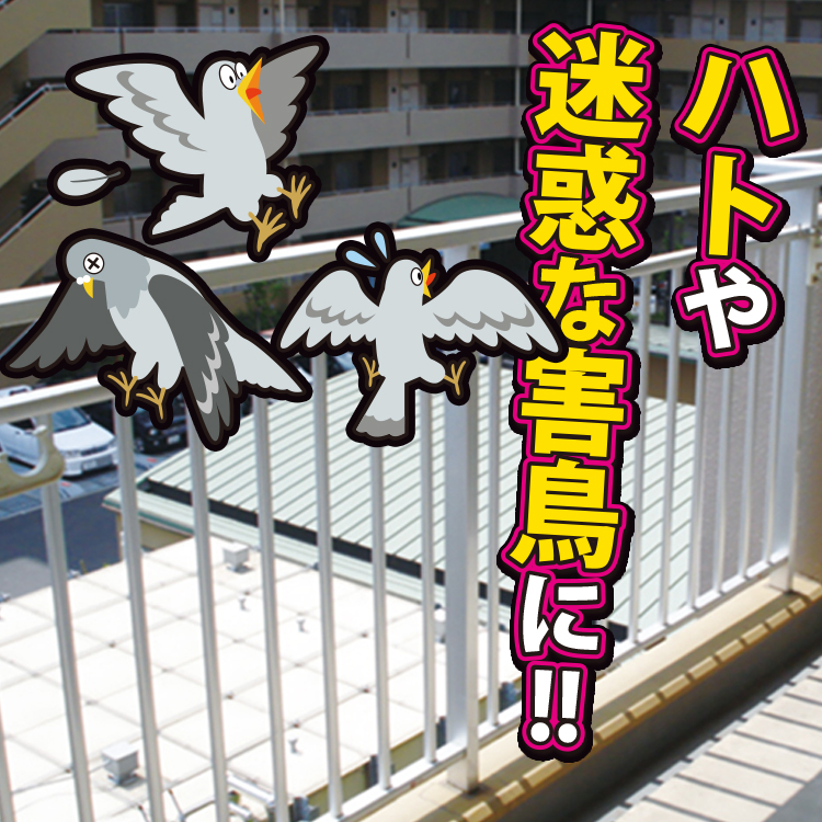 s_hato750_4.jpg