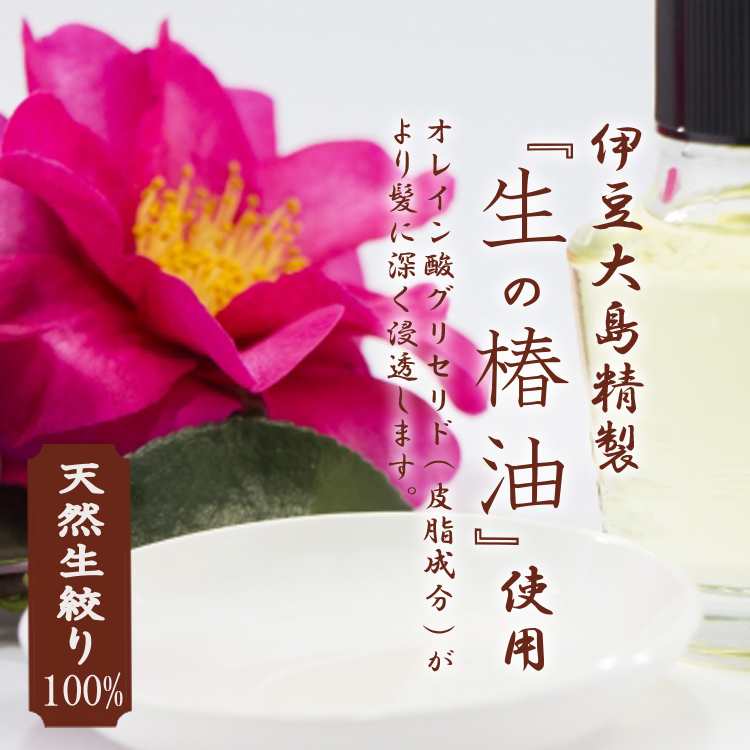 柘植ブラシ | つげのクッションブラシ椿油仕上げ